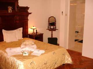 Отель Villa-Hotel Escala Клуж-Напока Улучшенный двухместный номер с 1 кроватью-5