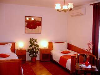 Отель Villa-Hotel Escala Клуж-Напока Стандартный двухместный номер с 2 отдельными кроватями-8